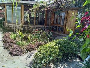 Descubre la casita de chocolate en Mindo