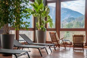 Alchimia WellResort
