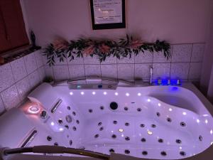 Linstant Beaujolais 2 ou 4 personnes Logis cosy balnéo vue jardin