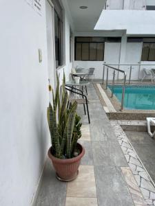 HOTEl TROPICAL PARACO