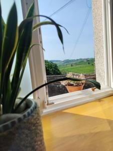 Pedra viva guest house II