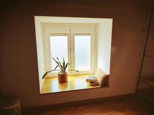 Pedra viva guest house II