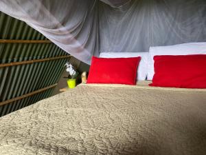 Glamping El Árbol en la Casa