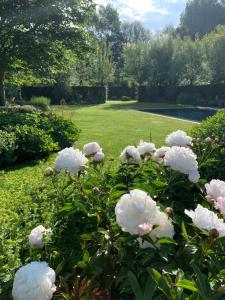 Vakantiewoning HET HUIS NUMMER 11