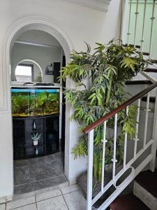 Casa Residencial la Barranca