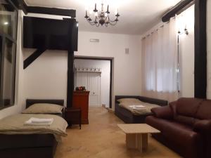 Apartament pod Papugą