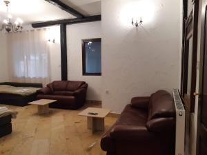 Apartament pod Papugą