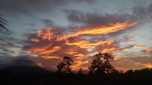 Iki Room with Jacuzzy