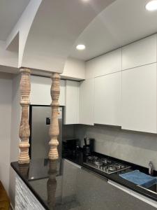 one bedroom apartment in the center of Batumi