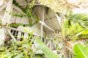 Buena Vibra Bungalows