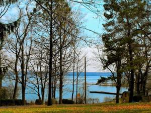 The Wildflower - Wooded Seneca Lake View Hideaway - Walk to Winery & Brewery - Hot Tub - Pets OK