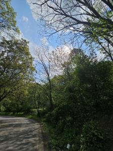 La Reggia di Gusberti