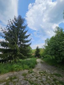 La Reggia di Gusberti