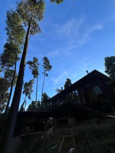 Cabaña 2-3 personas Valdivia