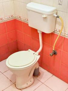 1BHK Fully Furnished Apartment in Kammanahalli