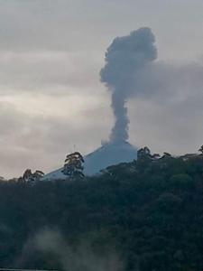Habitación en casa familiar