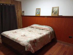 Hermosa Casa Lican Ray