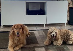 Spanish Style House - Free Parking