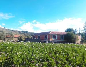 Misky Wasi lodge Occosuyo