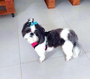 Natural and Family Retreat-Disconect and Reconnect