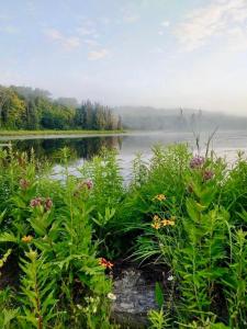 Cajun Cabin Private Nature Resort