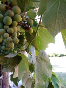 Entre Las Sierras y El Mar