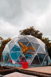 Glamping Mirador De La Montaña