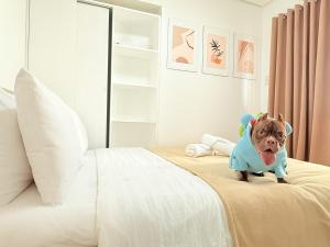 Sapphire Seaview Park Suites near Okada, Solaire, MOA, NAIA Airport, Bayview