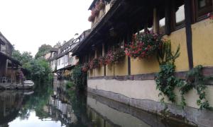 Appartements AU COEUR D'ALSACE : photos des chambres