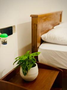 Delmar Homestay