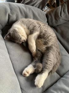 Peaceful Garden Tam Cốc