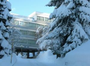 Appartamento Marilleva 1400 Residence Albarè Mezzana, TN