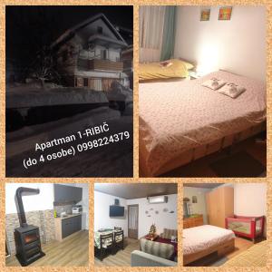 Apartman 1 RIBIČ