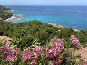 Villa with pool, sea view, Ste Lucie de Porto-Vecchio