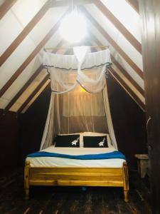 Sigiri Veenus Paradise