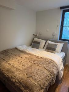 De Toekan Lodge seaside cottage by the dunes