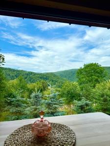 Pod Srebrzystym Świerkiem - Jacuzzi