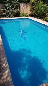 5019 - CAP DAGDE Villa individuelle avec piscine privée et climatisation au calme de la Pinède