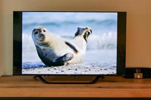 Haus Frische Brise 0903