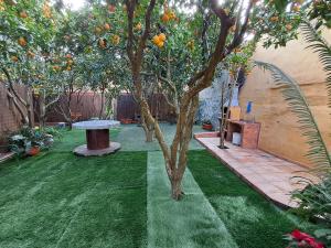 La casa de los naranjos