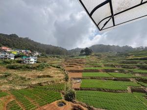 Rozana Retreats Ooty