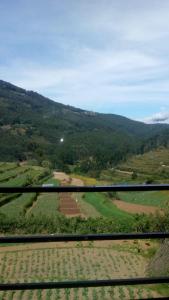 The Redmist Tree House