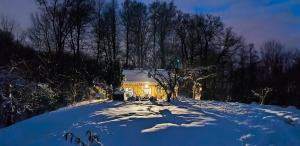 Holiday Home Forest INN