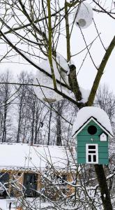 Holiday Home Forest INN