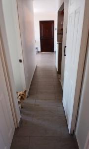 Habitación en departamento compartido sector el morro