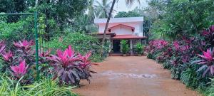 The Cozy Nest - Sigiriya
