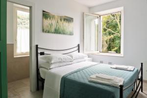 Agriturismo LUliveto Equestre