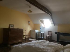 Surzur Character House