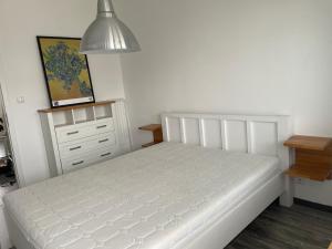 Cozy apartment next to the city center