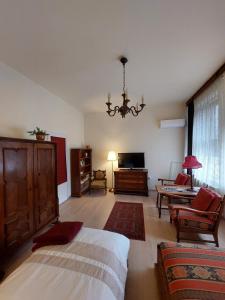 Bright, Spacious Classic Apartment in the City Center